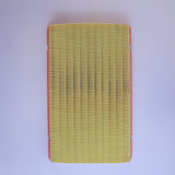 Genuine Ferrari Engine Air Filter 151562