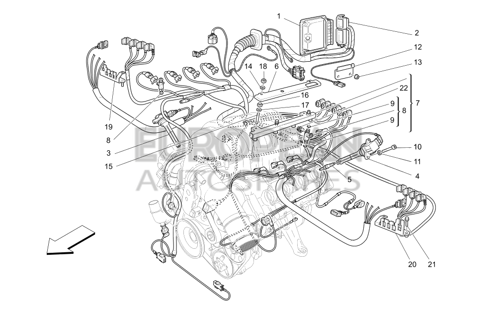 206640-Maserati ENGINE INJECTION WIRING HARNESS