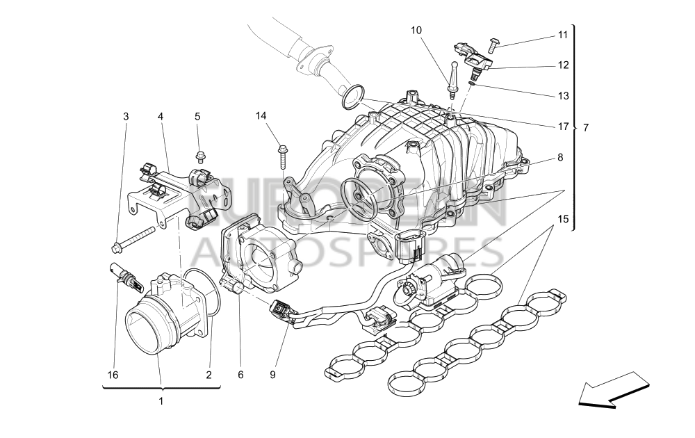 46329764-Maserati O.R. GASKET