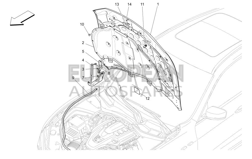 675000673-Maserati PLUG