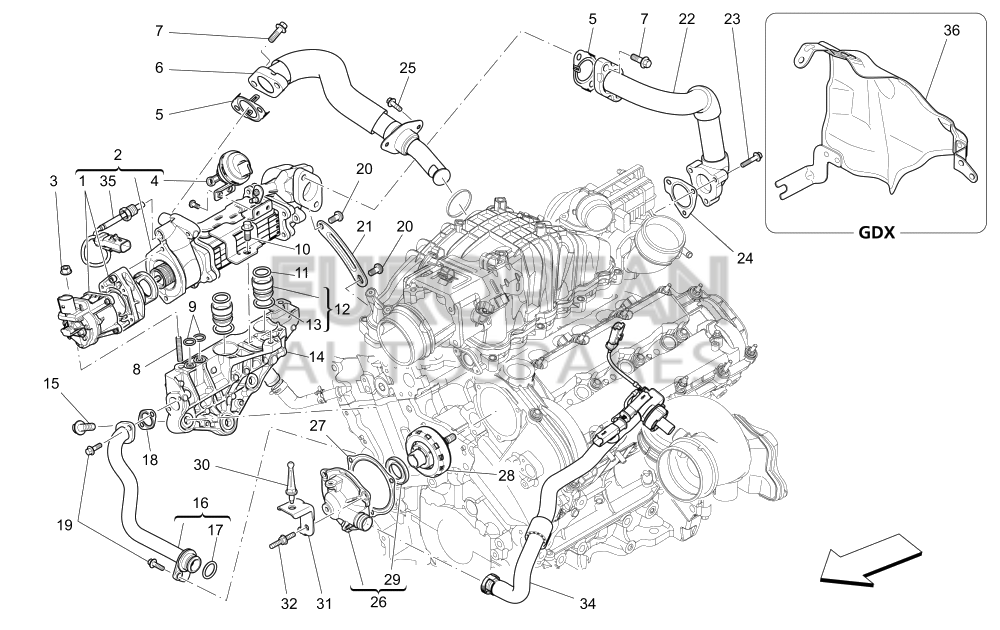 46328290-Maserati PIPE BETWEEN EGR AND INTAKE MANIFOLD