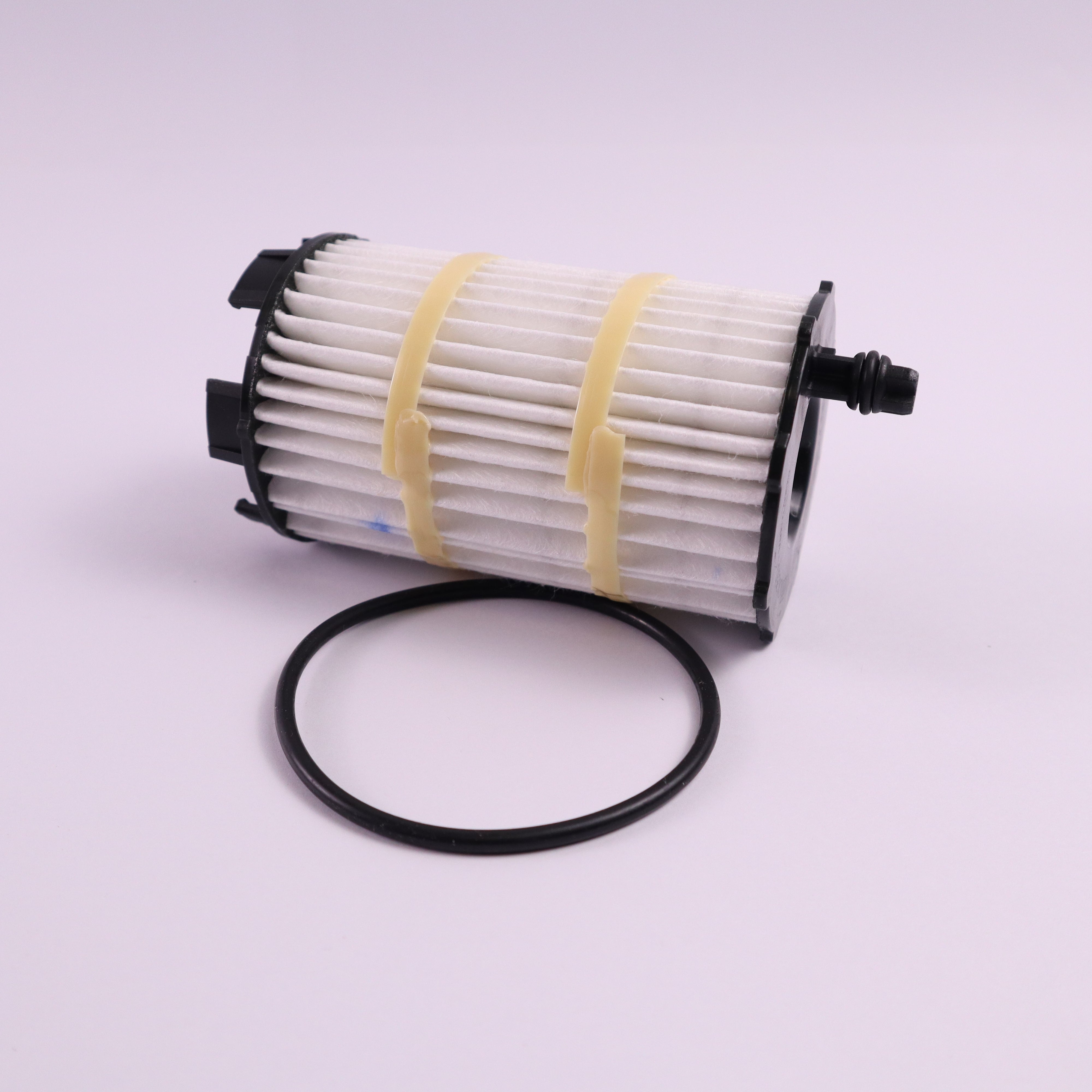 Genuine Lamborghini Engine Oil Filter 079198405E