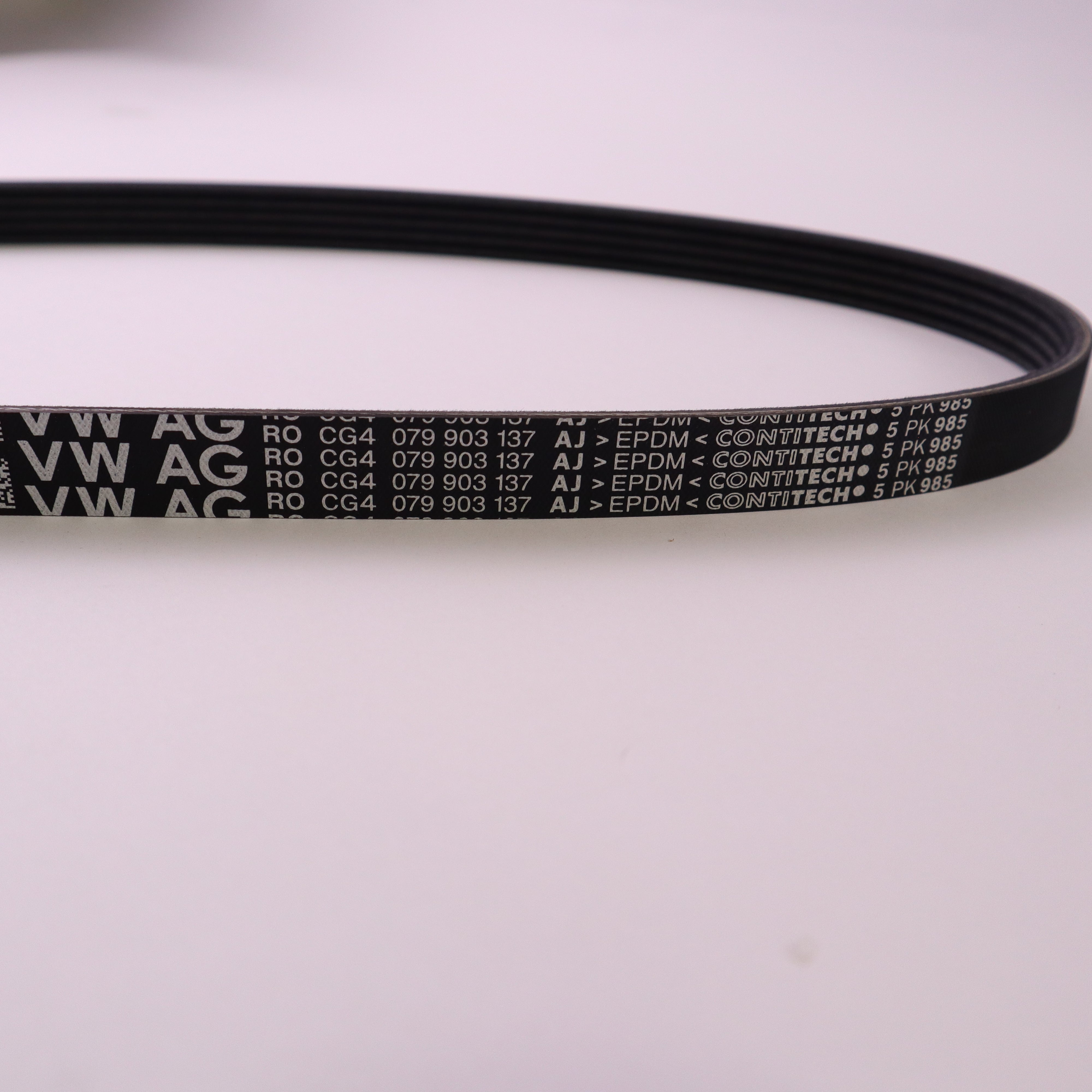 Genuine Bentley Serpentine Belt 079903137aj