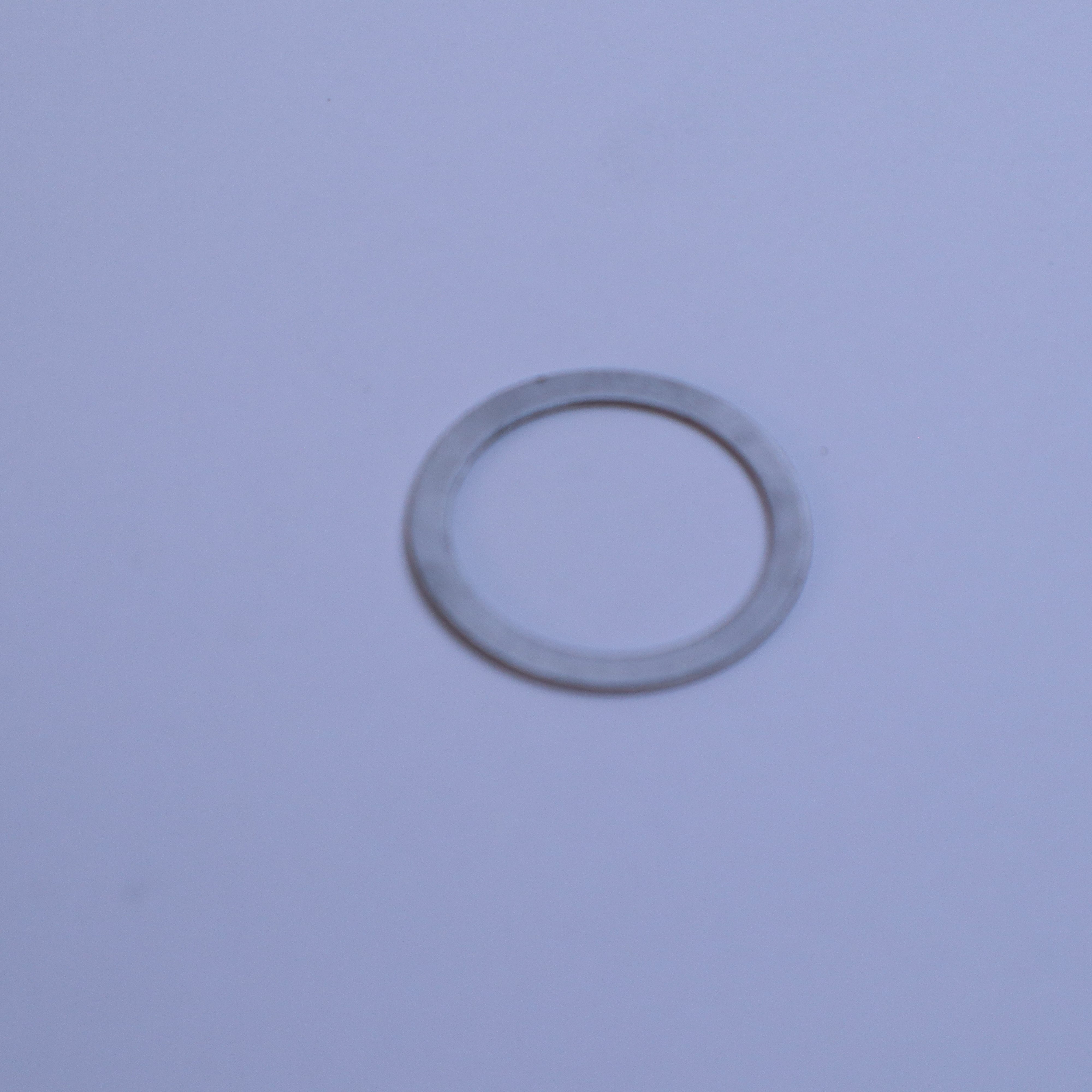 Genuine Bentley Exterior Body Washer WHT002909